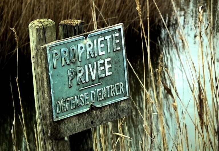 Comment protéger efficacement votre vie privée en ligne